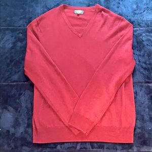 Express V-Neck Sweater